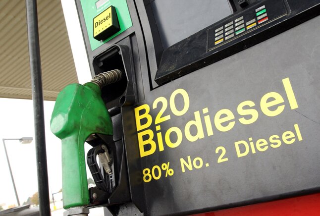 Владимир Путин высказался против биотоплива