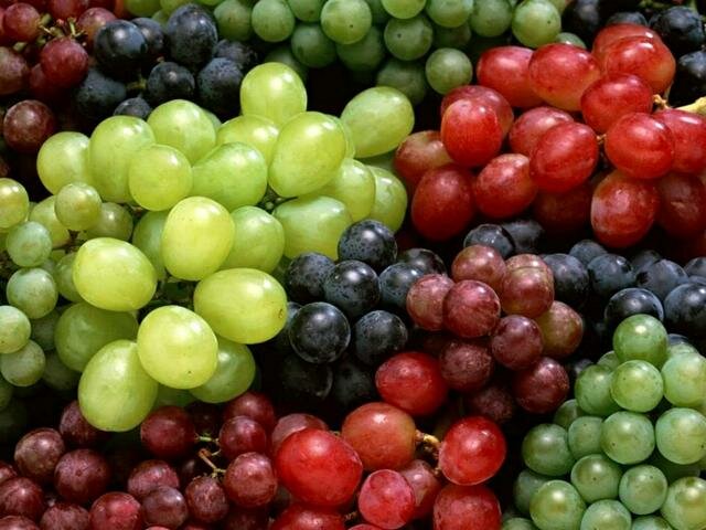 Биотопливо из виноградной выжимки